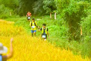 BIB: 
                            <button type="button" onclick="openModal(13456308)" class="btn btn-primary btn-sm float-right btn-popup" data-toggle="modal" data-target=".modal-high-quality">
                        <i class="fas fa-shopping-cart"></i> Add to Cart
                    </button>
                                            <button type="button" onclick="isThisMe(13456308, true)" class="btn btn-success btn-sm float-right btn-popup btn-isme hidden" data-toggle="tooltip" data-placement="bottom" title="นี่คือรูปของคุณใช่ไหม คลิกที่นี่เพื่อเอาเข้าอัลบั้ม">
                        <i class="fas fa-plus"></i> Add to album
                    </button>
                    <button type="button" onclick="isThisMe(13456308, false)" class="btn btn-warning btn-sm float-right btn-popup btn-isnotme hidden">
                        <i class="fas fa-ban"></i> Remove from album
                    </button>